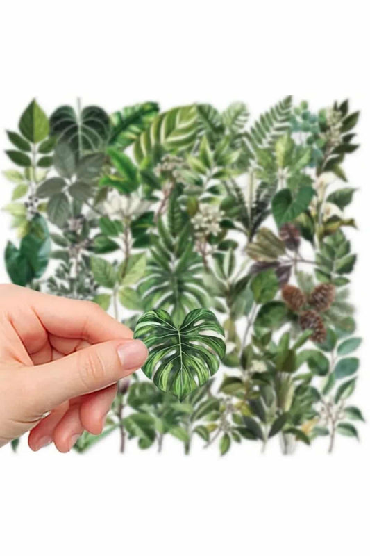 50 Adet Şeffaf Yaprak Sticker Seti Bullet Journal Scrapbook Şeffaf Sticker Laptop Ajanda Planlayıcı