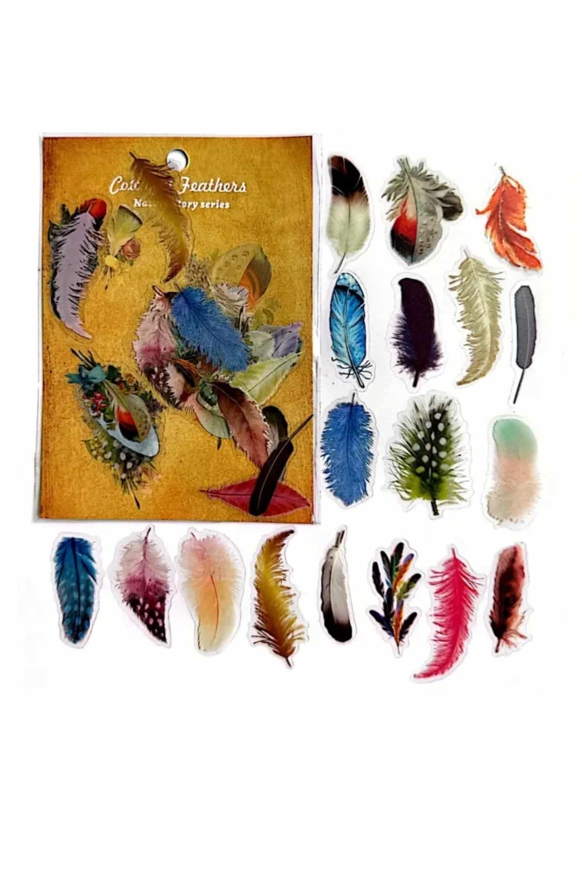 60 Adet Şeffaf Renkli Kuş Tüyü Sticker Bullet Journal Scrapbook Şeffaf Laptop Ajanda Planlayıcı