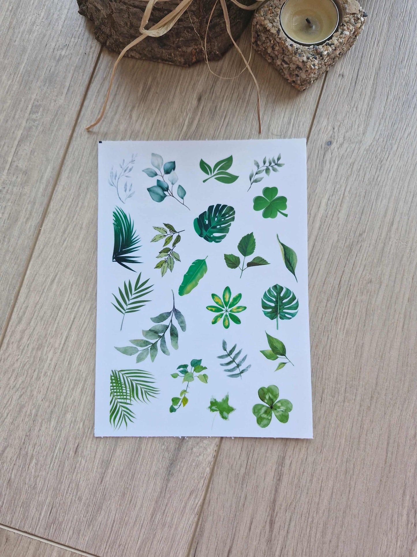 3 Parça 55 Adet Şeffaf Yaprak Sticker Seti Bullet Journal Scrapbook Şeffaf Sticker Mavi Yeşil Pembe