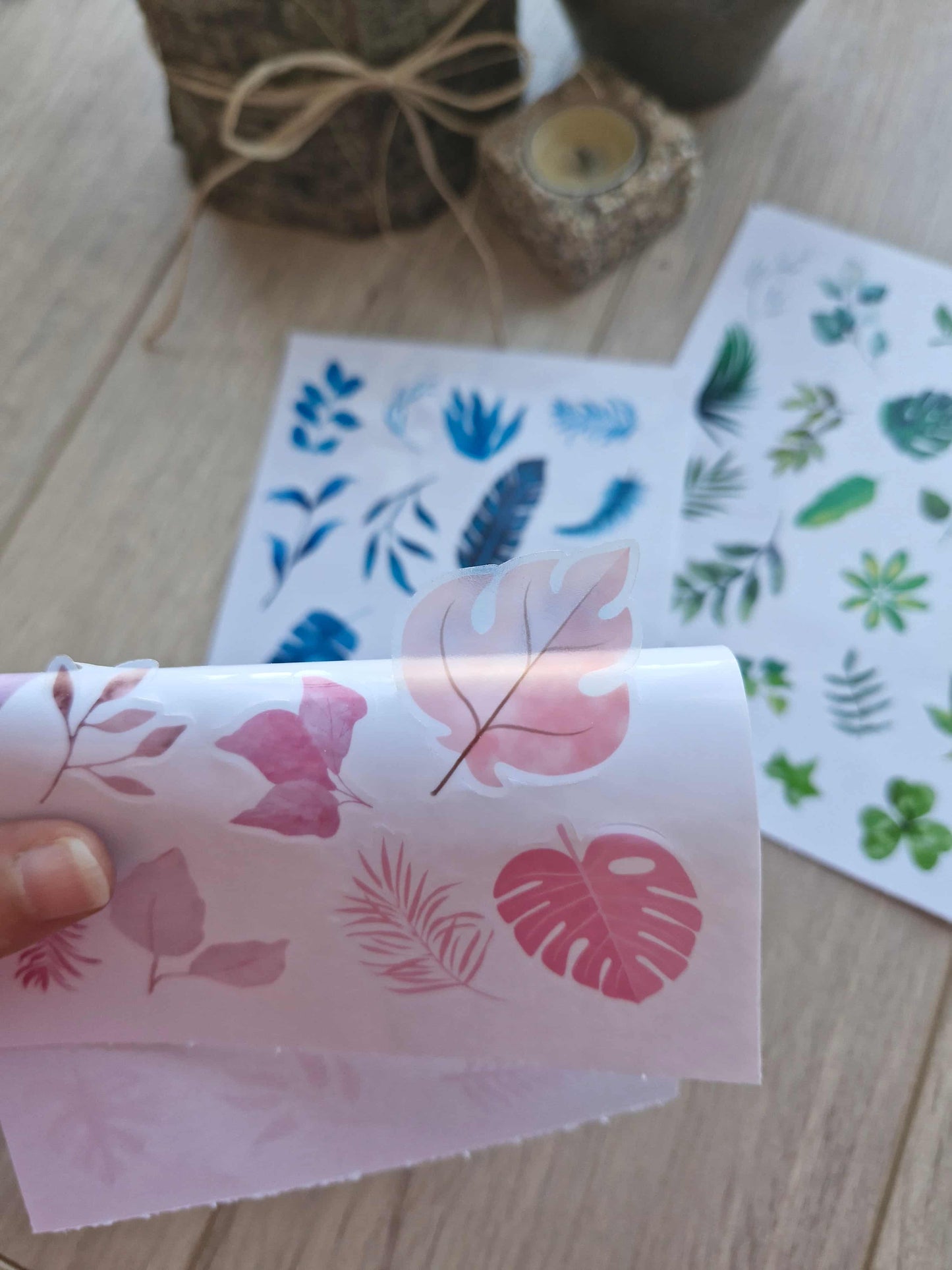 3 Parça 55 Adet Şeffaf Yaprak Sticker Seti Bullet Journal Scrapbook Şeffaf Sticker Mavi Yeşil Pembe
