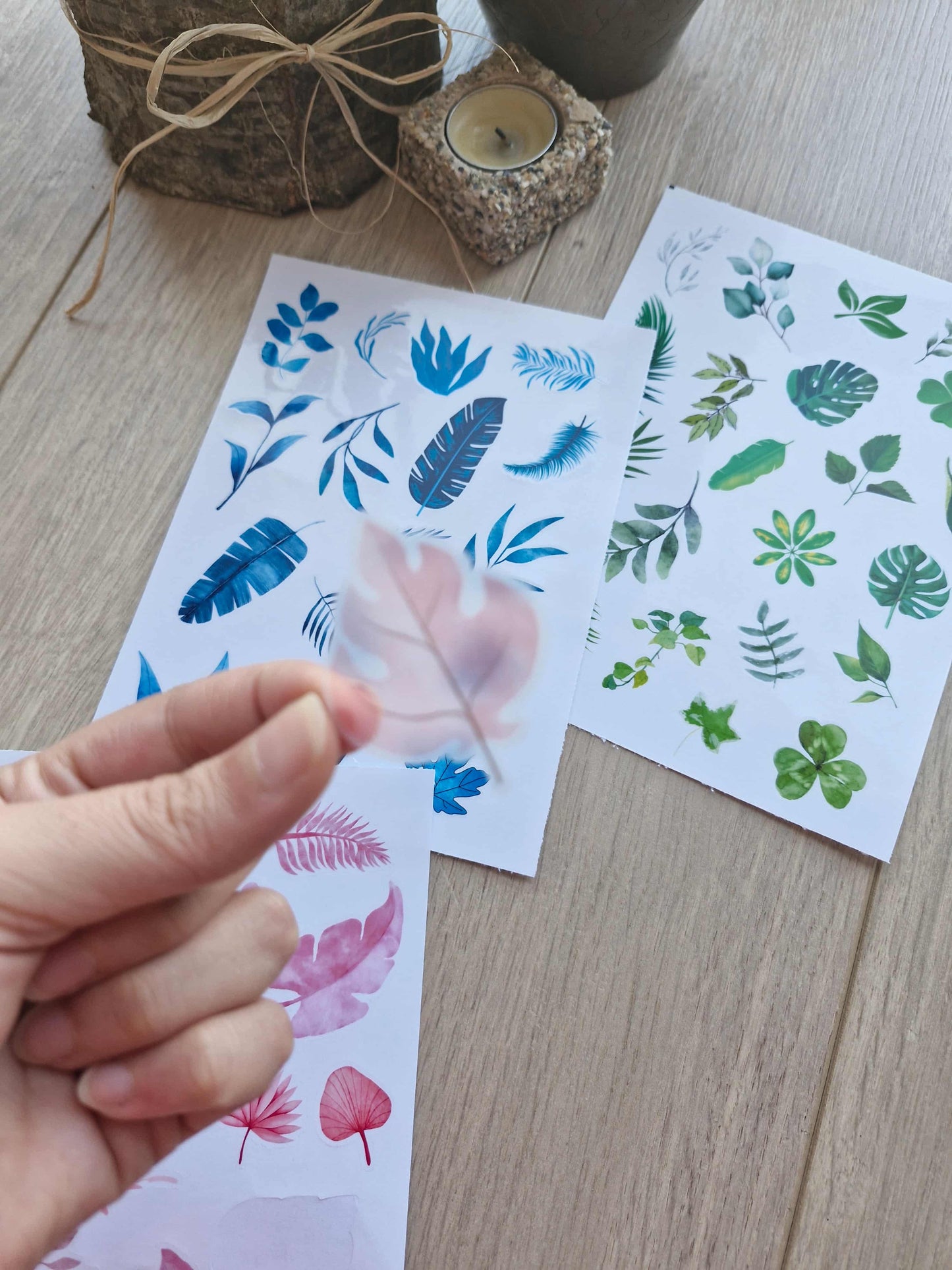 3 Parça 55 Adet Şeffaf Yaprak Sticker Seti Bullet Journal Scrapbook Şeffaf Sticker Mavi Yeşil Pembe
