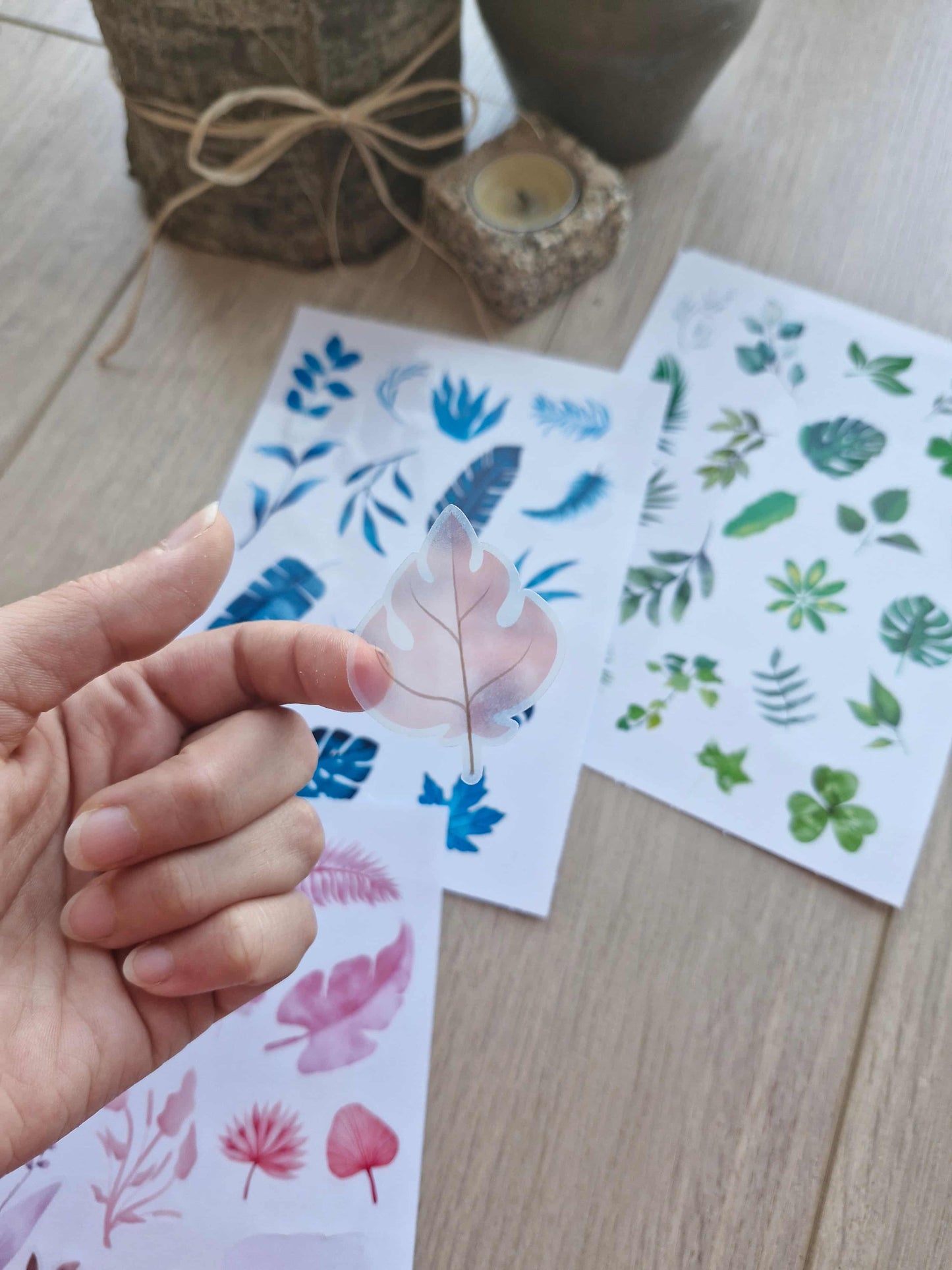 3 Parça 55 Adet Şeffaf Yaprak Sticker Seti Bullet Journal Scrapbook Şeffaf Sticker Mavi Yeşil Pembe
