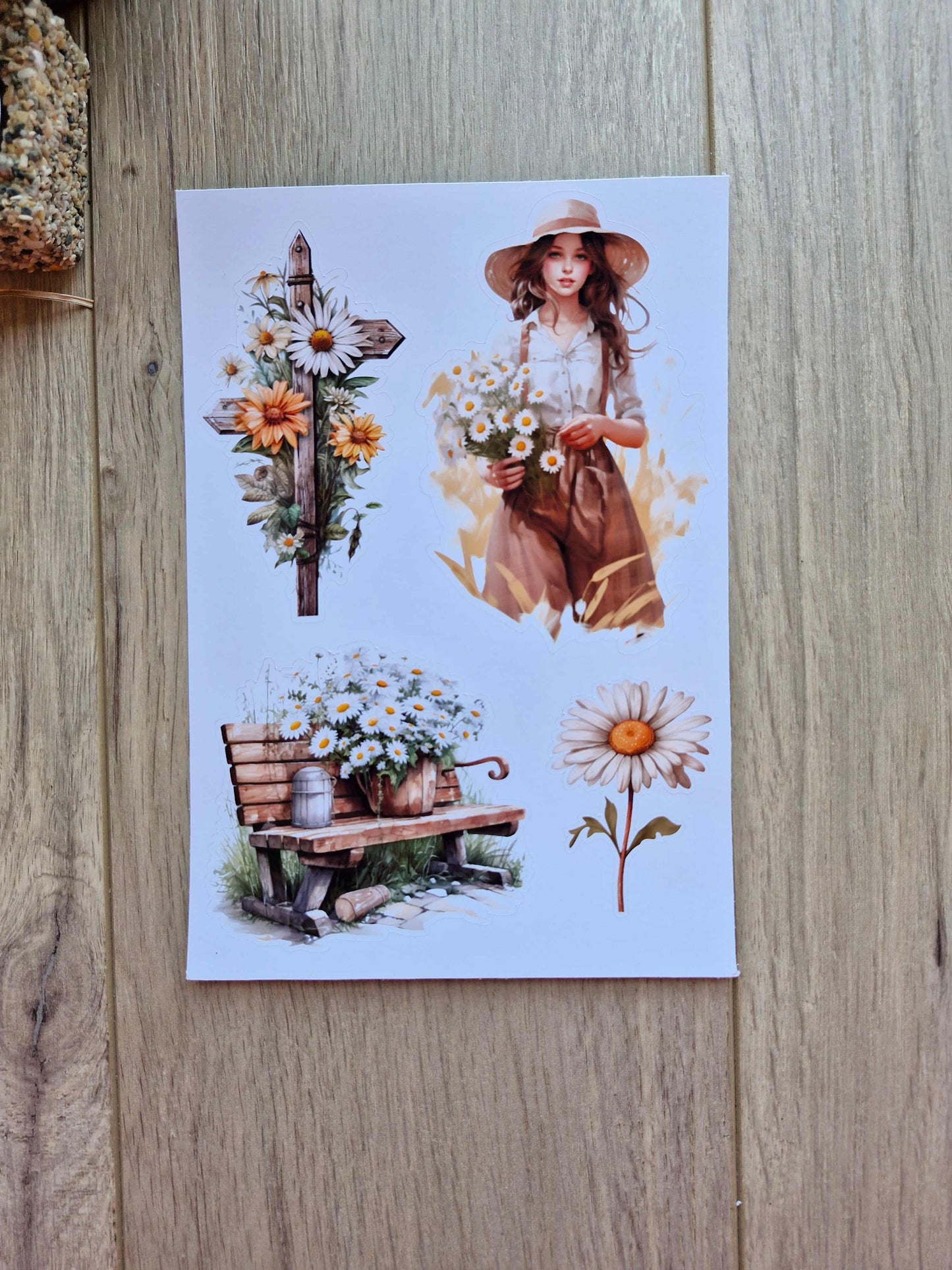 14 Adet Papatya Sticker Seti Bullet Journal Laptop Termos Scrapbook Papatya Kız Country