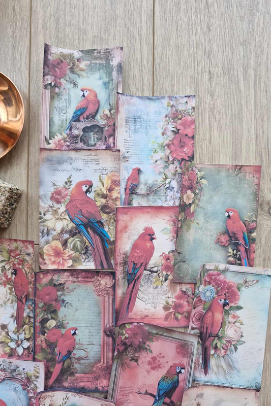 15 Adet Eskitme Vintage Papağan Temalı Scrapbook Kağıt Seti Bullet Journal Dekupaj Kağıdı
