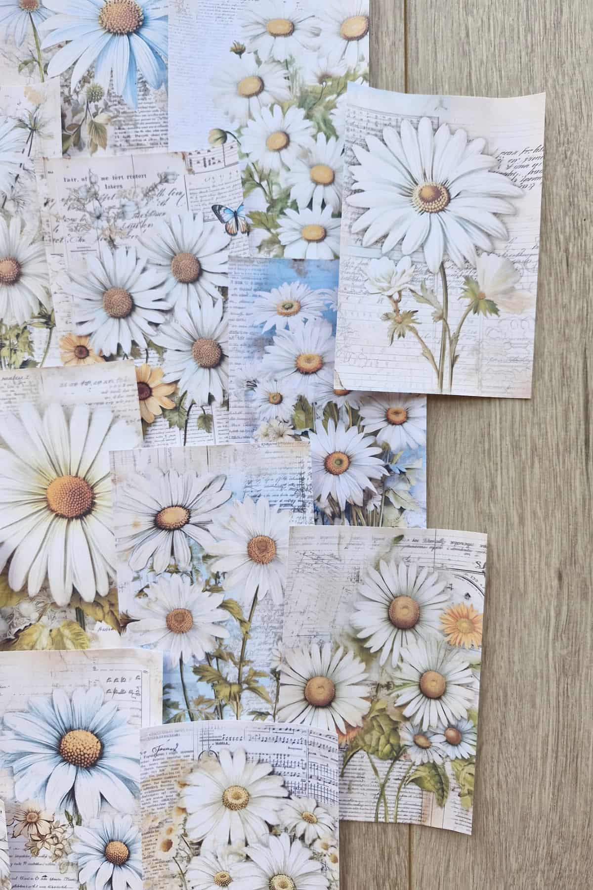 15 Adet Eskitme Vintage Papatya Temalı Scrapbook Kağıt Seti Bullet Journal Dekupaj Kağıdı