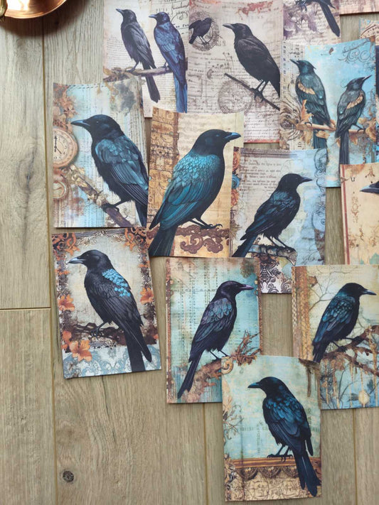 15 Adet Vintage Karga Temalı Scrapbook Kağıt Seti Bullet Journal Dekupaj Kağıdı