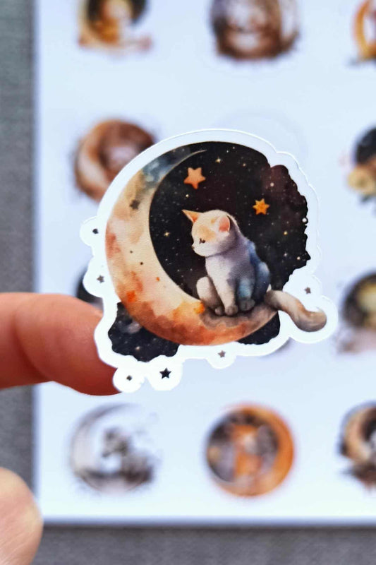 12 Adet Uykucu Hayvanlar Sticker Seti Sevimli Hayvanlar Sticker Çocuk Sticker