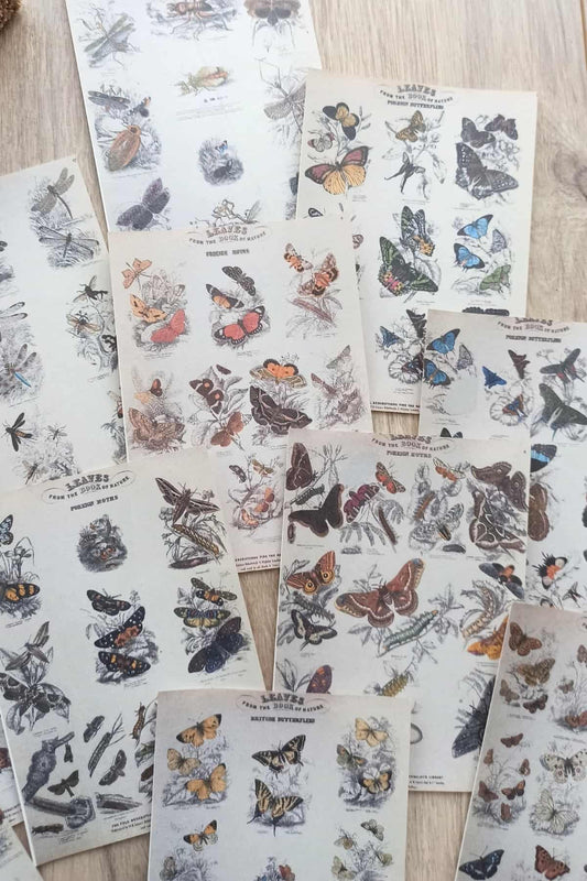 15 Adet Eskitme Vintage Kitap Kelebek Temalı Scrapbook Kağıt Seti Bullet Journal Dekupaj Kağıdı