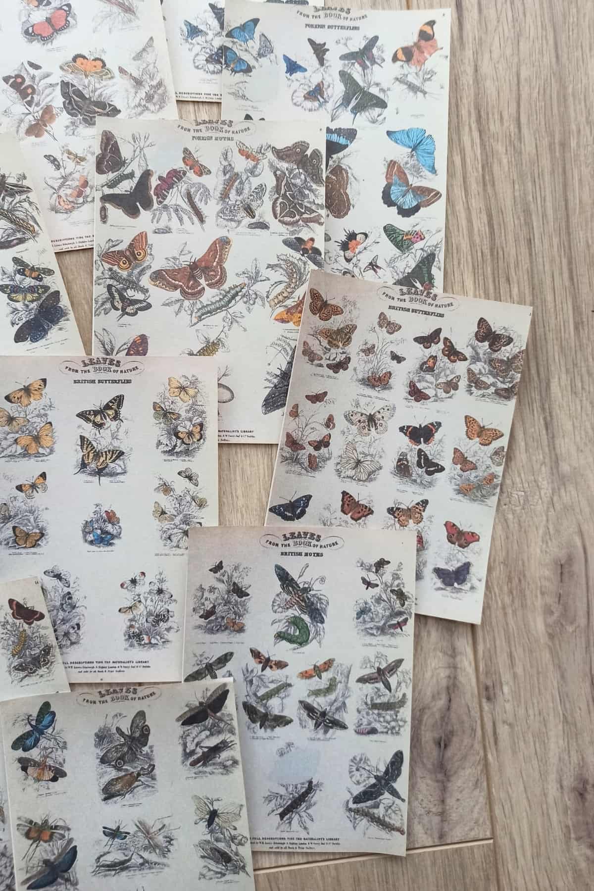 15 Adet Eskitme Vintage Kitap Kelebek Temalı Scrapbook Kağıt Seti Bullet Journal Dekupaj Kağıdı