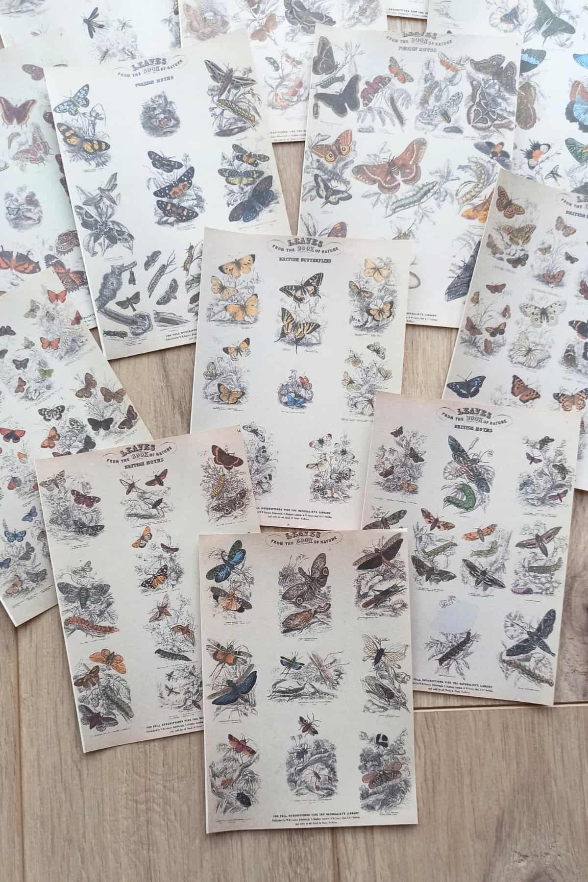 15 Adet Eskitme Vintage Kitap Kelebek Temalı Scrapbook Kağıt Seti Bullet Journal Dekupaj Kağıdı