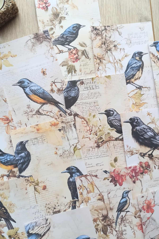 15 Adet Eskitme Vintage Kuş Temalı Scrapbook Kağıt Seti Bullet Journal Dekupaj Kağıdı