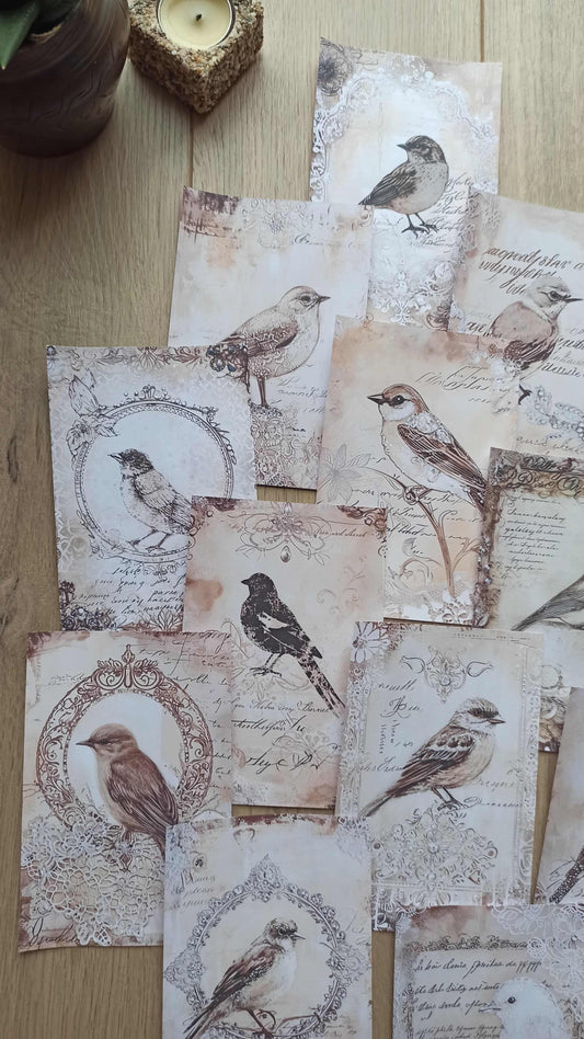 12 Adet Scrapbook Eskitme Kuş Dantel Temalı Scrapbook Kağıt Seti Bullet Journal Dekupaj Kağıdı