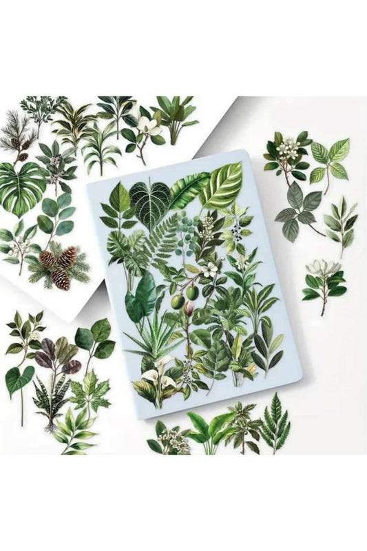 50 Adet Şeffaf Yaprak Sticker Seti Bullet Journal Scrapbook Şeffaf Sticker Laptop Ajanda Planlayıcı