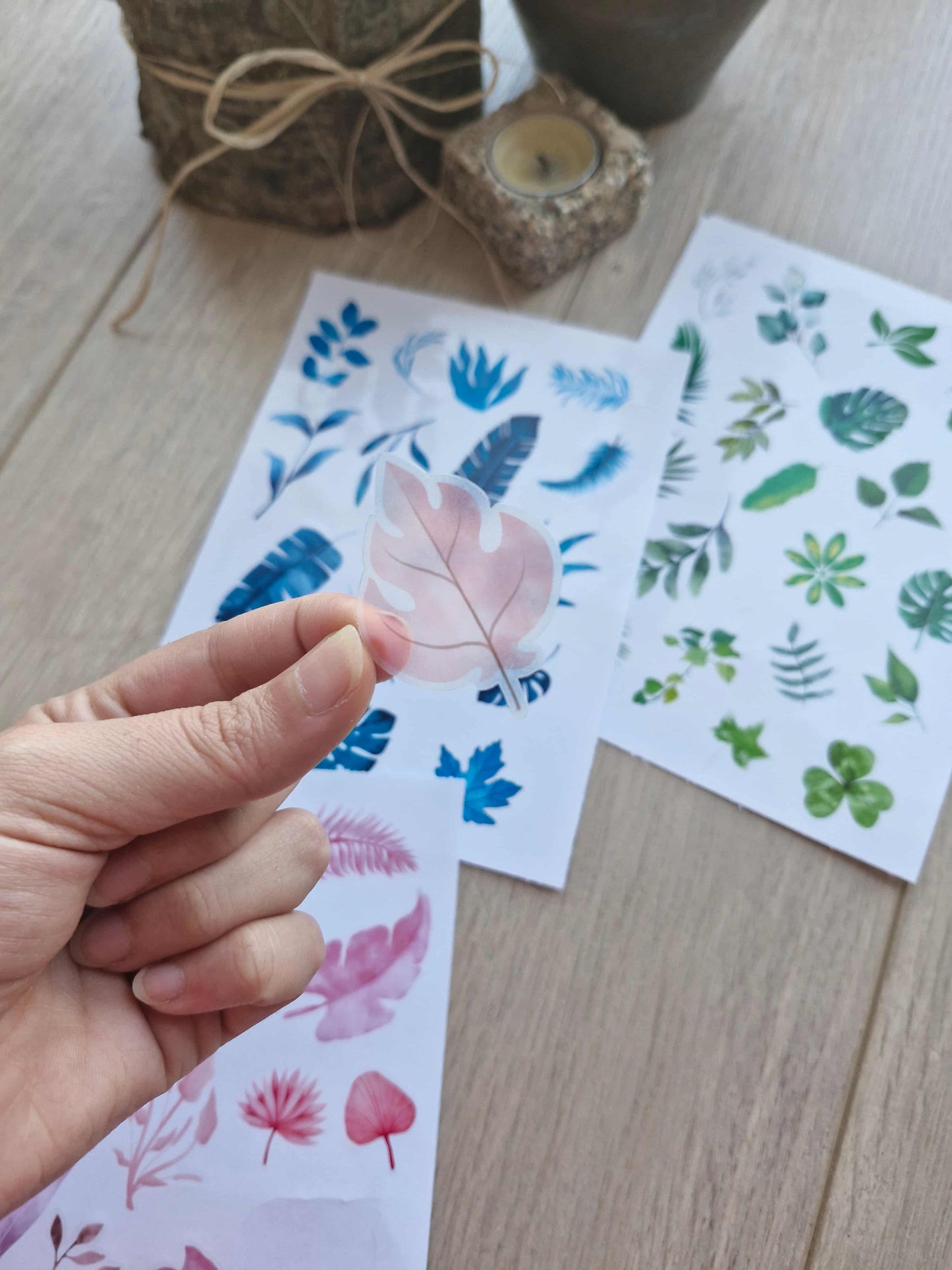 3 Parça 55 Adet Şeffaf Yaprak Sticker Seti Bullet Journal Scrapbook Şeffaf Sticker Mavi Yeşil Pembe