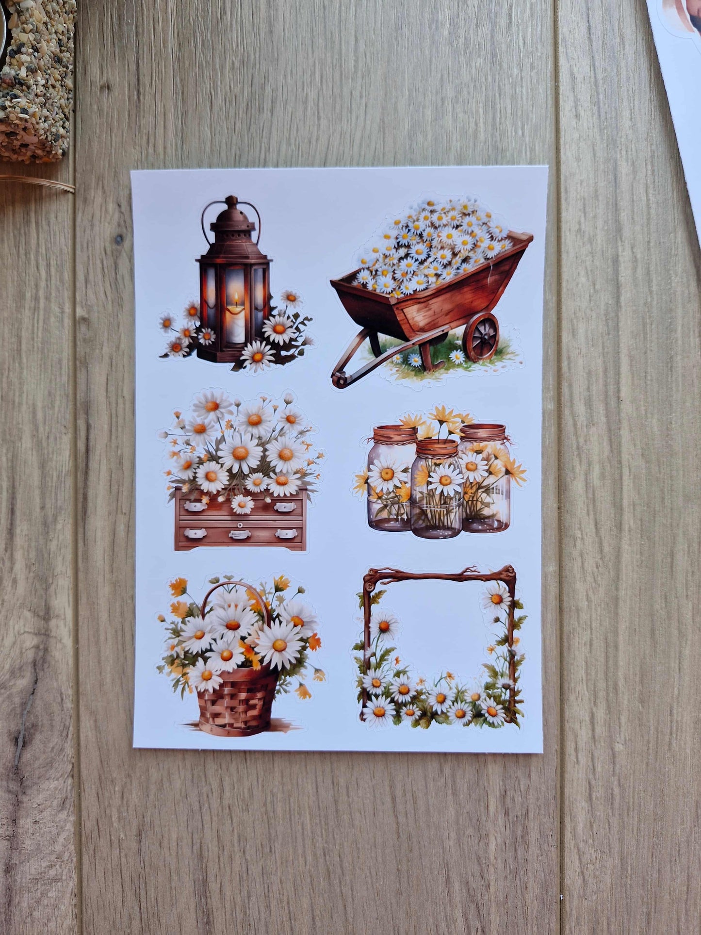 14 Adet Papatya Sticker Seti Bullet Journal Laptop Termos Scrapbook Papatya Kız Country
