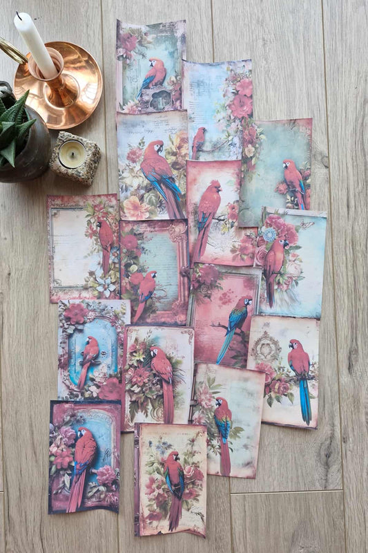 15 Adet Eskitme Vintage Papağan Temalı Scrapbook Kağıt Seti Bullet Journal Dekupaj Kağıdı