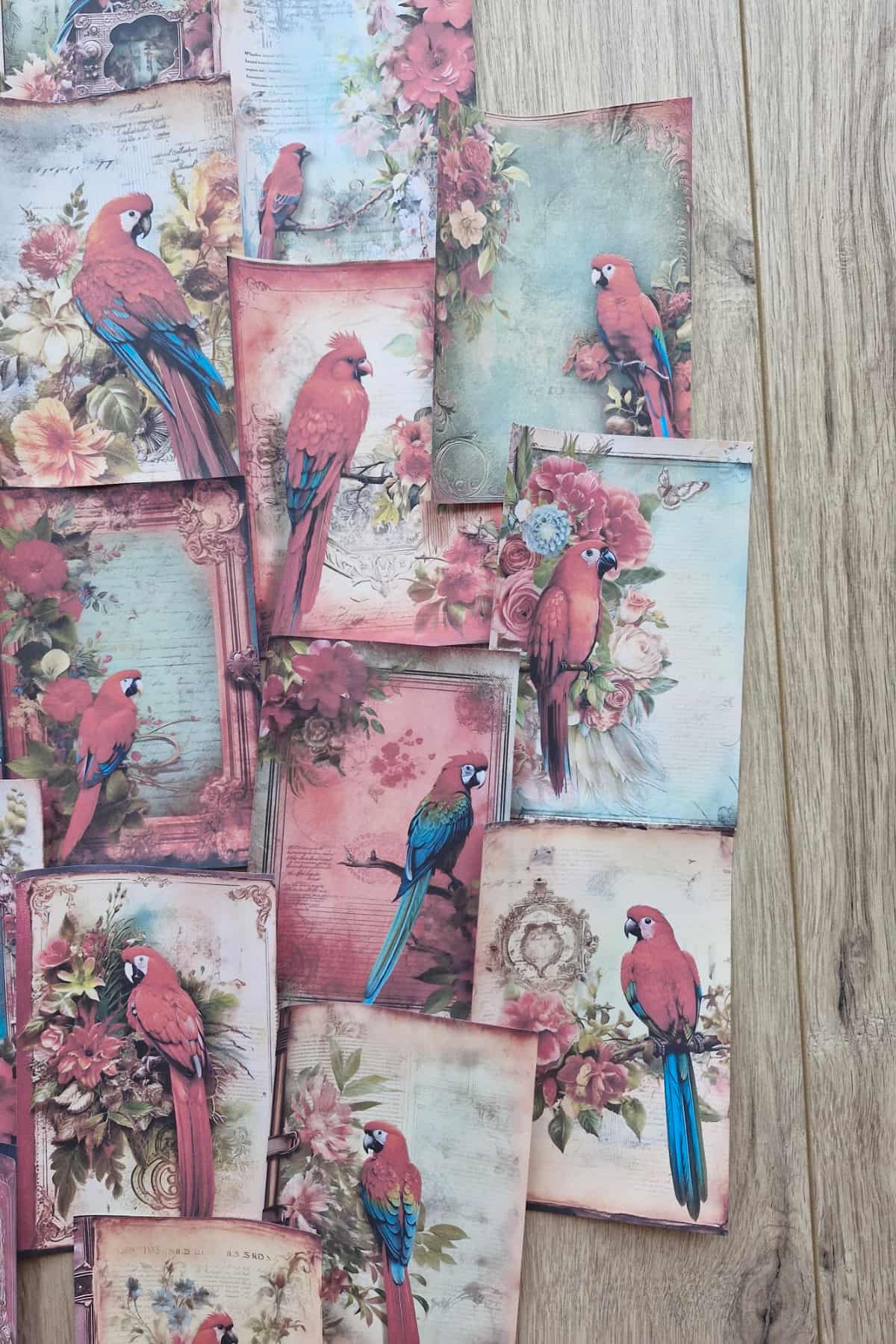 15 Adet Eskitme Vintage Papağan Temalı Scrapbook Kağıt Seti Bullet Journal Dekupaj Kağıdı