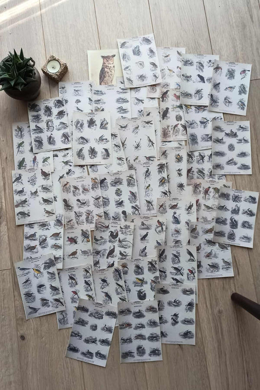 42 Adet Eskitme Vintage Kitap Sayfası Kuş Temalı Scrapbook Kağıt Seti Bullet Journal Dekupaj Kağıdı