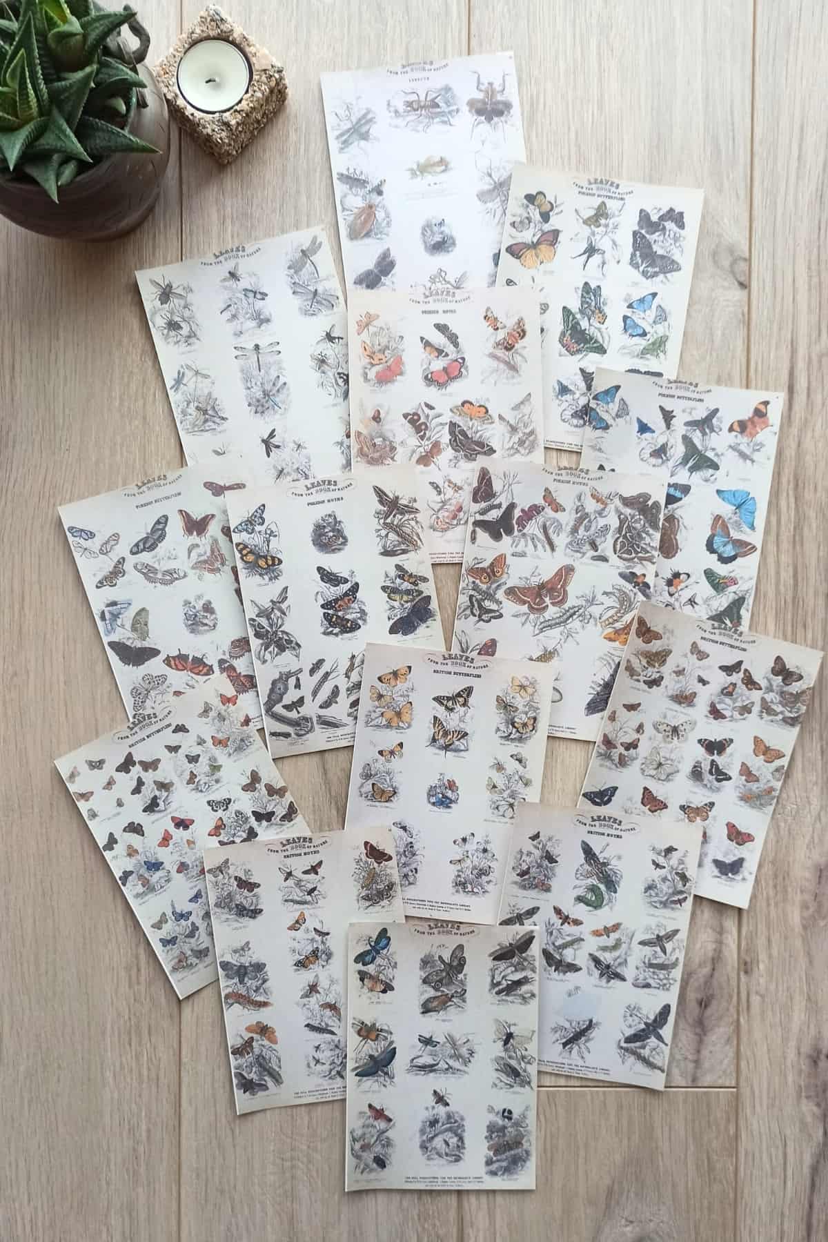 15 Adet Eskitme Vintage Kitap Kelebek Temalı Scrapbook Kağıt Seti Bullet Journal Dekupaj Kağıdı