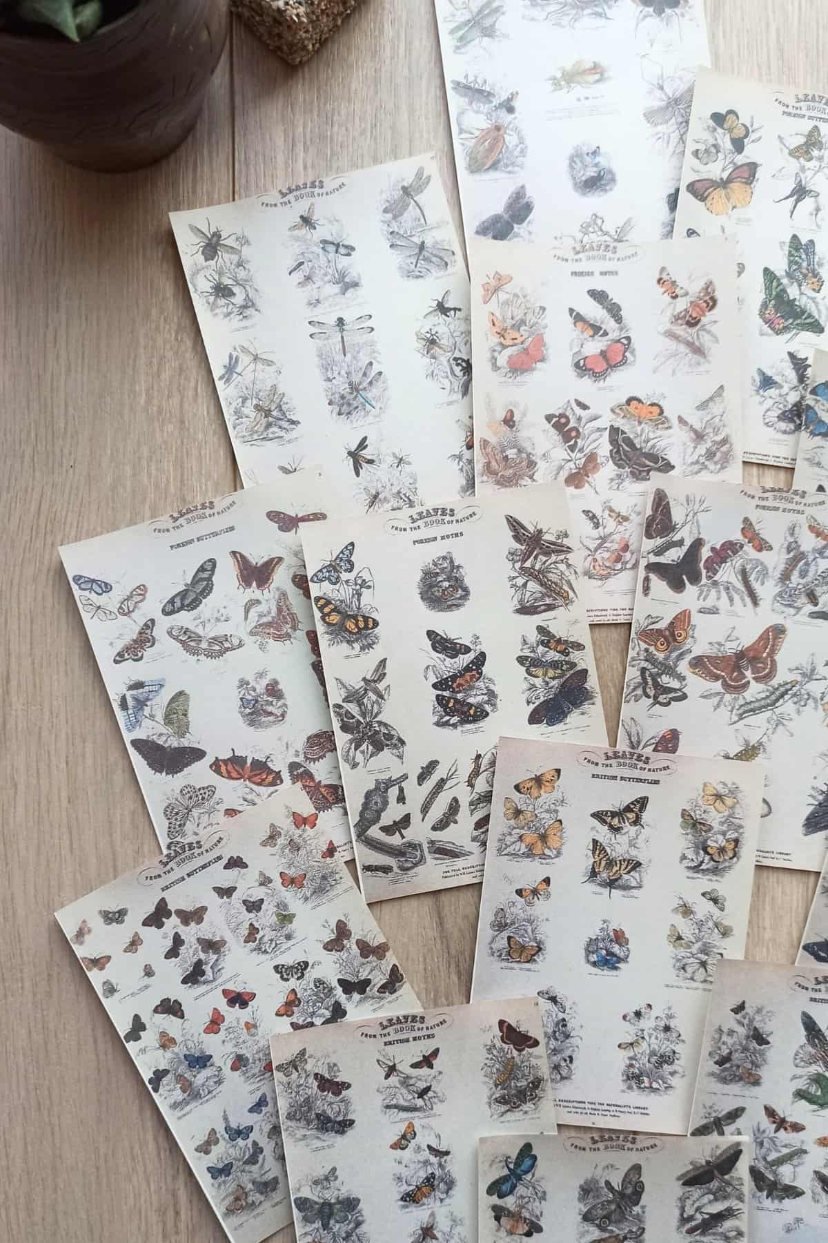 15 Adet Eskitme Vintage Kitap Kelebek Temalı Scrapbook Kağıt Seti Bullet Journal Dekupaj Kağıdı
