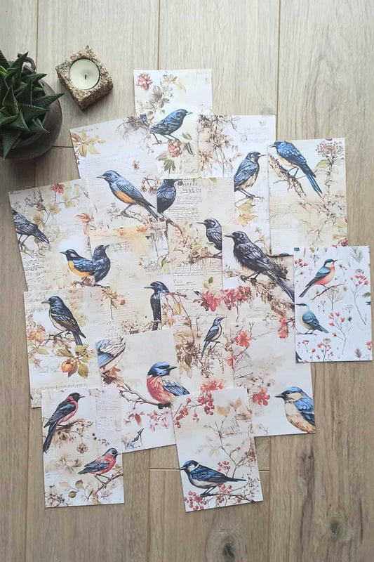 15 Adet Eskitme Vintage Kuş Temalı Scrapbook Kağıt Seti Bullet Journal Dekupaj Kağıdı
