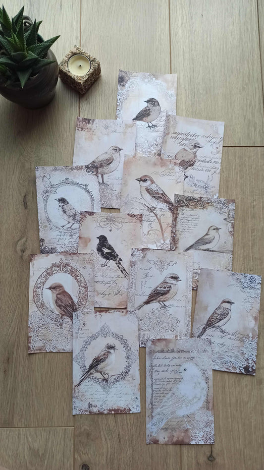 12 Adet Scrapbook Eskitme Kuş Dantel Temalı Scrapbook Kağıt Seti Bullet Journal Dekupaj Kağıdı