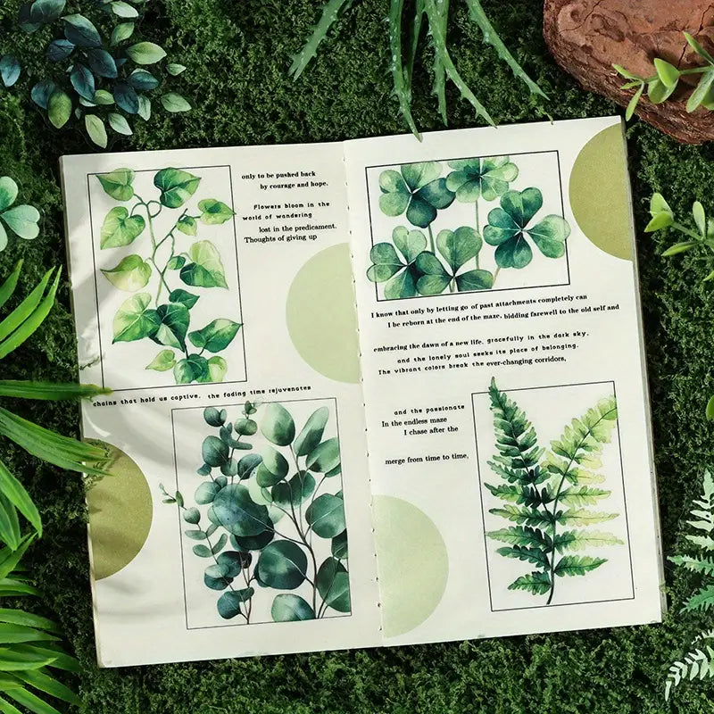 20 Adet Şeffaf Yaprak Sticker Seti Bullet Journal Scrapbook Şeffaf Yeşil Sticker Laptop Ajanda Planlayıcı