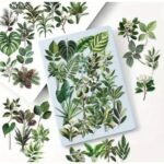 50 Adet Şeffaf Yaprak Sticker Seti Bullet Journal Scrapbook Şeffaf Sticker Laptop Ajanda Planlayıcı