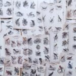 42 Adet Eskitme Vintage Kitap Sayfası Kuş Temalı Scrapbook Kağıt Seti Bullet Journal Dekupaj Kağıdı