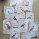 12 Adet Scrapbook Eskitme Kuş Dantel Temalı Scrapbook Kağıt Seti Bullet Journal Dekupaj Kağıdı