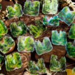 30 Adet Şeffaf Yeşil Manzara Sticker Bullet Journal Scrapbook Laptop Ajanda Planlayıcı