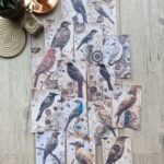 15 Adet Eskitme Vintage Karga Temalı Scrapbook Kağıt Seti Bullet Journal Dekupaj Kağıdı Gothic