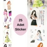 25 Adet Şeffaf Kız Sticker Scrapbook Bullet Journal Ajanda Washi Tape