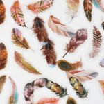 40 Adet Şeffaf Kuş Tüyü Sticker Bullet Journal Scrapbook Laptop Ajanda Planlayıcı