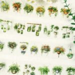 9 Adet Şeffaf Saksı Bitki Sticker Scrapbook Bullet Journal Ajanda Günlük Planlayıcı