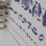 5 Adet Mor Washi Bant Seti Scrapbook Bullet Journal Ajanda Washi Tape